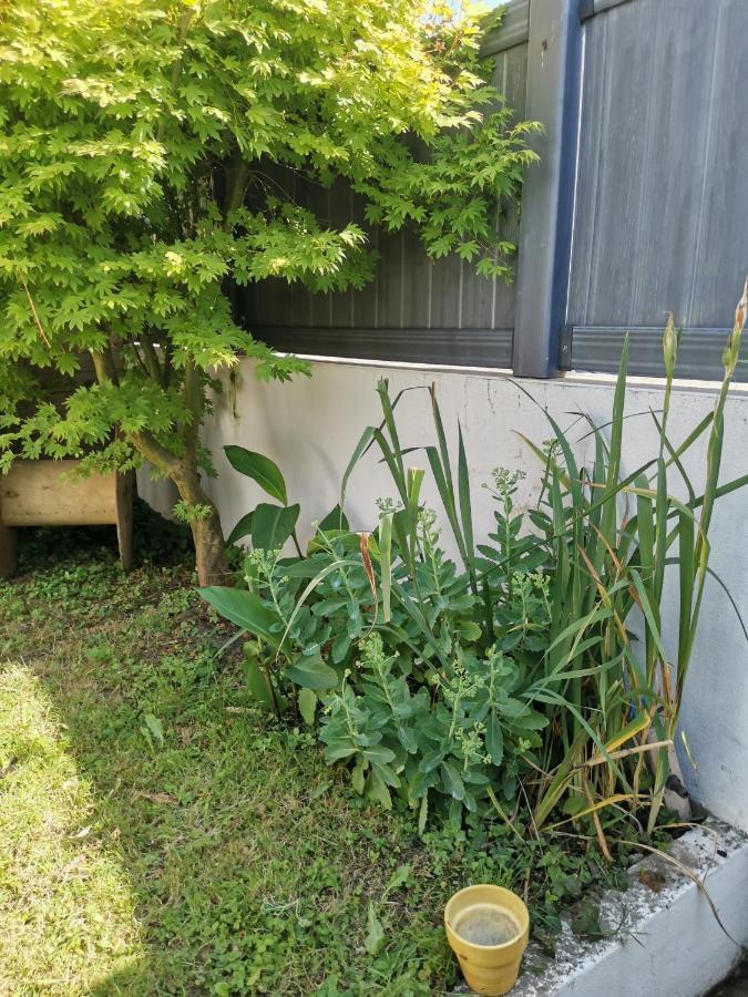 Charmante Maisonnette Brest Dış mekan fotoğraf